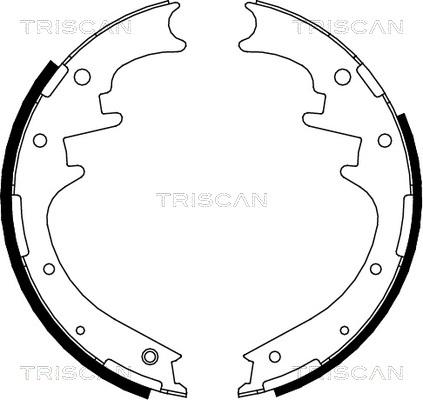 Triscan 8100 10016 - Brake Shoe Set autospares.lv