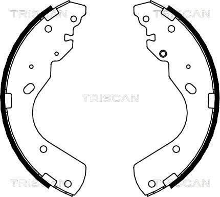 Triscan 8100 10017 - Brake Shoe Set autospares.lv