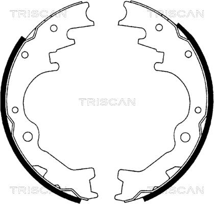 Triscan 8100 10035 - Brake Shoe Set autospares.lv