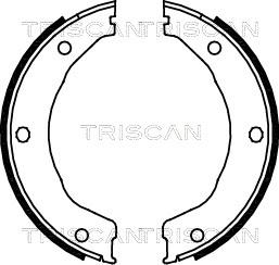 Triscan 8100 10030 - Brake Shoe Set, parking brake autospares.lv