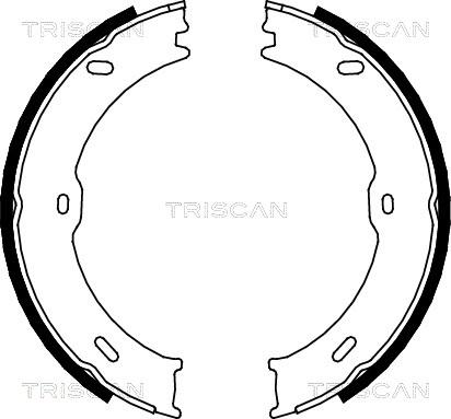 Triscan 8100 10023 - Brake Shoe Set autospares.lv