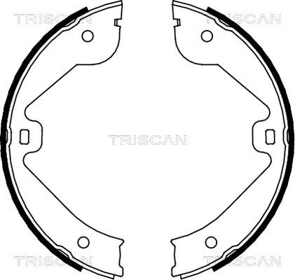 Triscan 8100 10022 - Brake Shoe Set autospares.lv