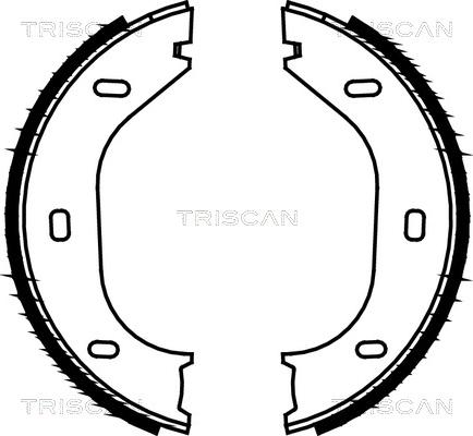 Triscan 8100 10290 - Brake Shoe Set, parking brake autospares.lv