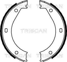 Triscan 8100 11415 - Brake Shoe Set, parking brake autospares.lv