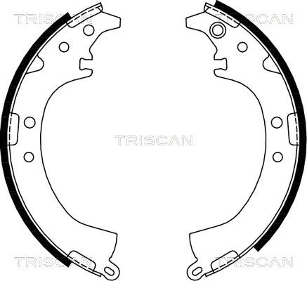 Triscan 8100 13569 - Brake Shoe Set autospares.lv