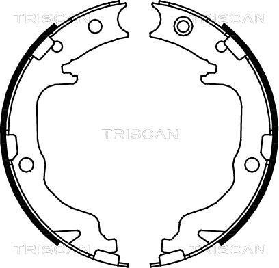 Triscan 8100 80010 - Brake Shoe Set, parking brake autospares.lv