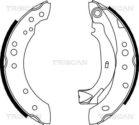 Triscan 8100 38001 - Brake Shoe Set autospares.lv