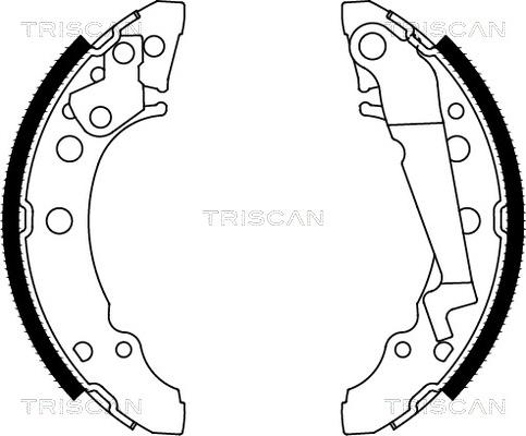 Triscan 8100 29001 - Brake Shoe Set autospares.lv