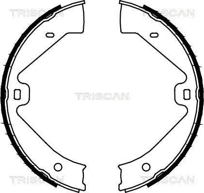 Triscan 8100 29002 - Brake Shoe Set, parking brake autospares.lv