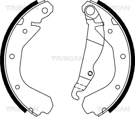 Triscan 8100 24413 - Brake Shoe Set autospares.lv