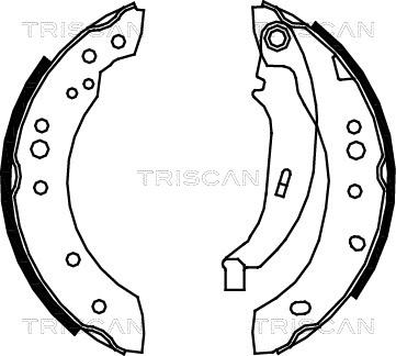 Triscan 8100 25005 - Brake Shoe Set autospares.lv