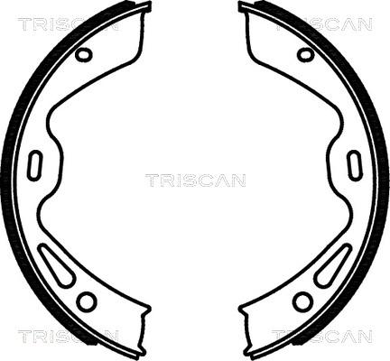 Triscan 8100 20004 - Brake Shoe Set, parking brake autospares.lv