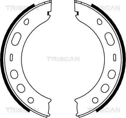 Triscan 8100 20001 - Brake Shoe Set, parking brake autospares.lv