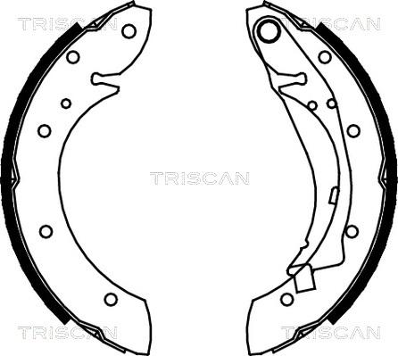 Triscan 8100 28598 - Brake Shoe Set autospares.lv