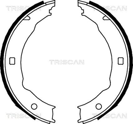 Triscan 8100 28050 - Brake Shoe Set, parking brake autospares.lv