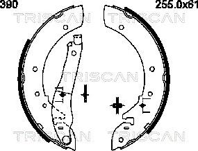 Triscan 8100 28390 - Brake Shoe Set autospares.lv