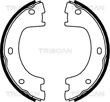 Triscan 8100 23032 - Brake Shoe Set autospares.lv