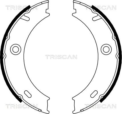 Triscan 8100 23025 - Brake Shoe Set, parking brake autospares.lv