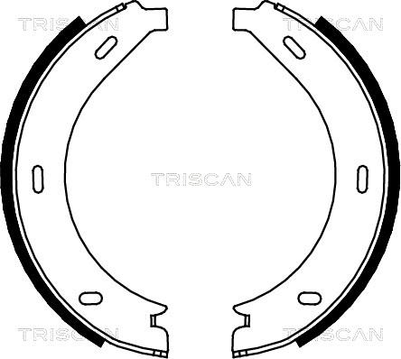 Triscan 8100 23023 - Brake Shoe Set, parking brake autospares.lv