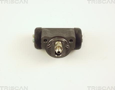 Triscan 8130 42013 - Wheel Brake Cylinder autospares.lv