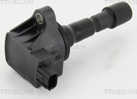 Triscan 8860 40013 - Ignition Coil autospares.lv