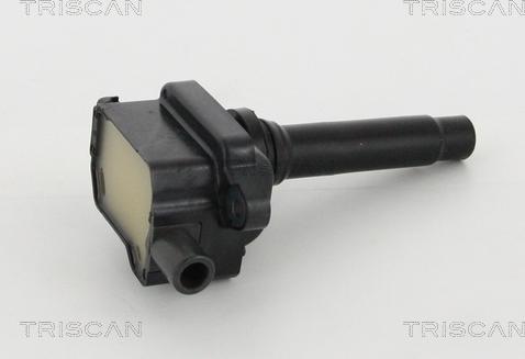 Triscan 8860 43060 - Ignition Coil autospares.lv