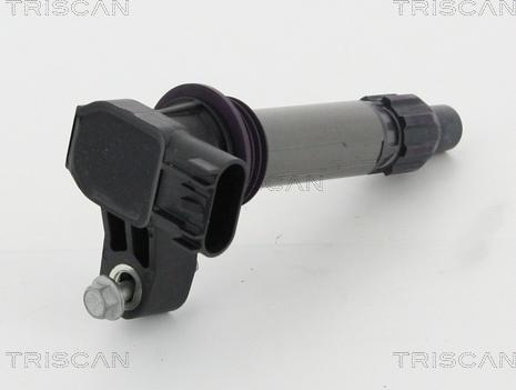 Triscan 8860 10024 - Ignition Coil autospares.lv