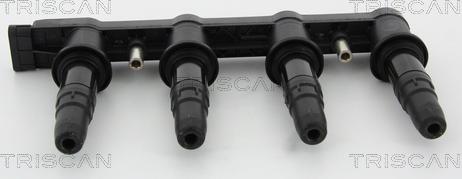 Triscan 8860 10025 - Ignition Coil autospares.lv