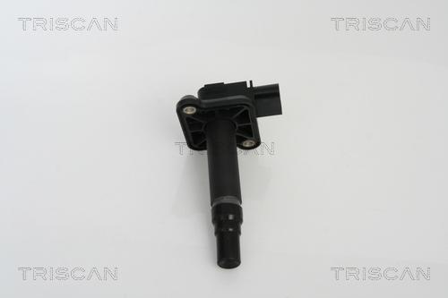 Triscan 8860 29021 - Ignition Coil autospares.lv