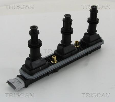 Triscan 8860 24041 - Ignition Coil autospares.lv