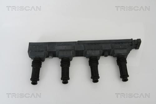 Triscan 8860 24009 - Ignition Coil autospares.lv