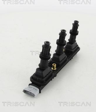 Triscan 8860 24035 - Ignition Coil autospares.lv