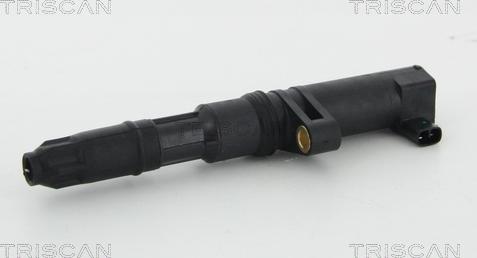 Triscan 8860 25004 - Ignition Coil autospares.lv