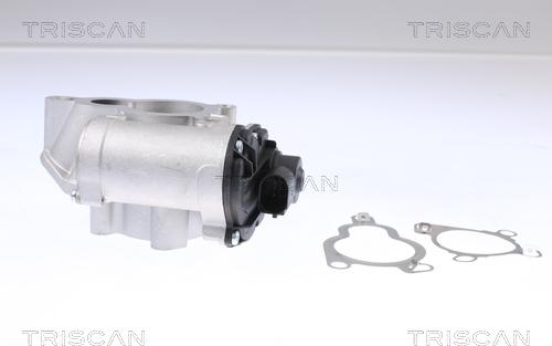 Triscan 8813 14025 - EGR Valve autospares.lv