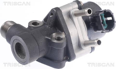 Triscan 8813 14026 - EGR Valve autospares.lv