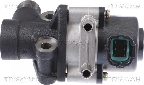 Triscan 8813 14026 - EGR Valve autospares.lv