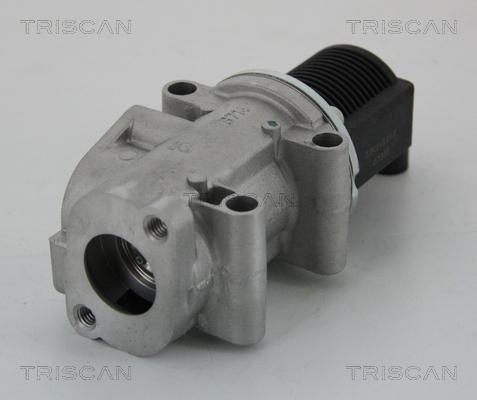 Triscan 8813 15032 - EGR Valve autospares.lv