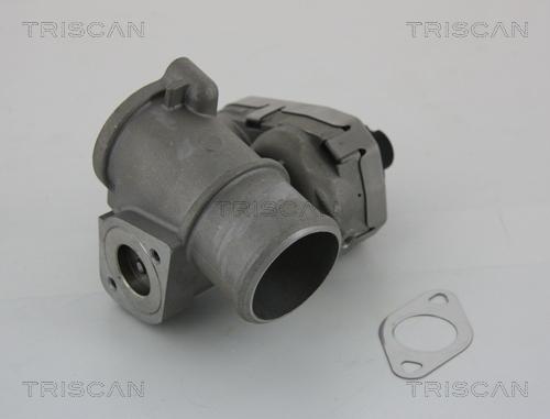 Triscan 8813 16101 - EGR Valve autospares.lv
