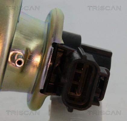 Triscan 8813 16102 - EGR Valve autospares.lv