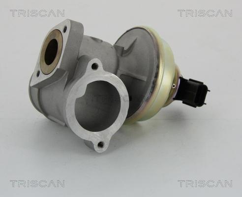 Triscan 8813 16102 - EGR Valve autospares.lv