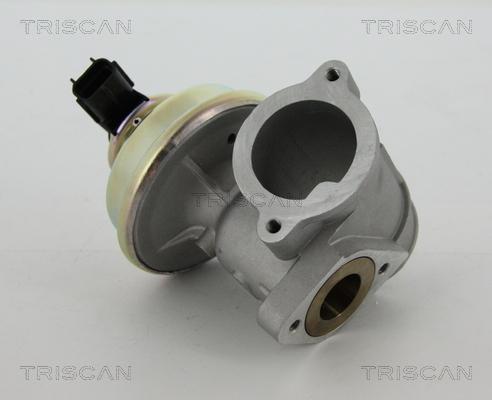 Triscan 8813 16102 - EGR Valve autospares.lv