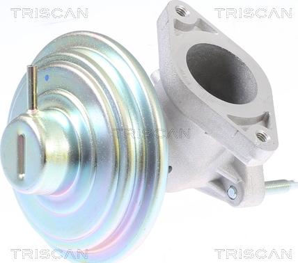 Triscan 8813 16213 - EGR Valve autospares.lv