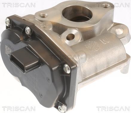 Triscan 8813 10055 - EGR Valve autospares.lv