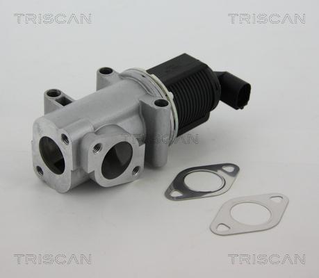 Triscan 8813 10015 - EGR Valve autospares.lv