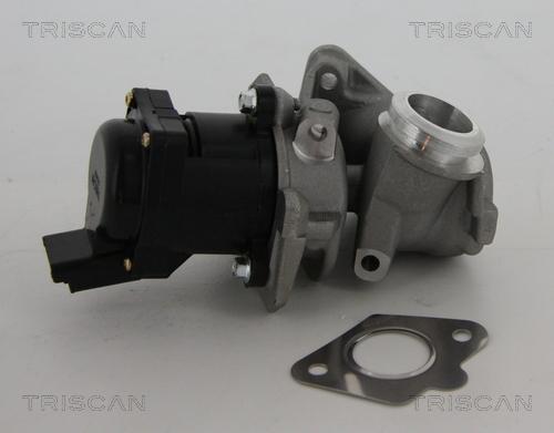 Triscan 8813 10010 - EGR Valve autospares.lv