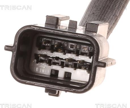 Triscan 8813 10012 - EGR Valve autospares.lv