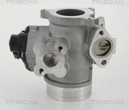 Triscan 8813 10012 - EGR Valve autospares.lv