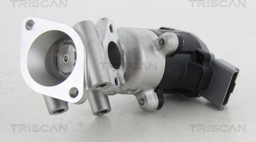 Triscan 8813 17016 - EGR Valve autospares.lv