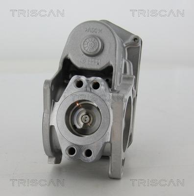 Triscan 8813 29003 - EGR Valve autospares.lv