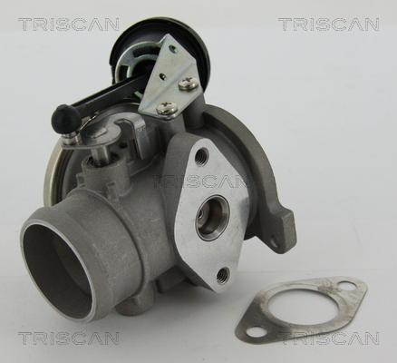 Triscan 8813 29022 - EGR Valve autospares.lv